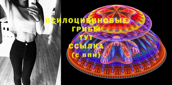 дживик Армянск