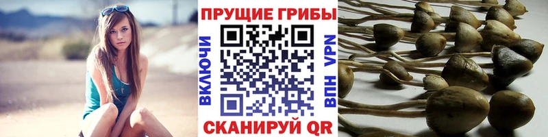 Псилоцибиновые грибы мухоморы  omg ТОР  Ухта 